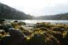 dsc01297_small.jpg