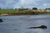 dsc01300_small.jpg