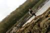 dsc01315_small.jpg
