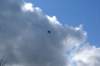 dsc01334_small.jpg