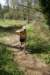 dsc01396_small.jpg