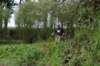 dsc01419_small.jpg