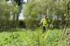 dsc01423_small.jpg