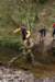 dsc01486_small.jpg