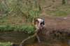 dsc01492_small.jpg